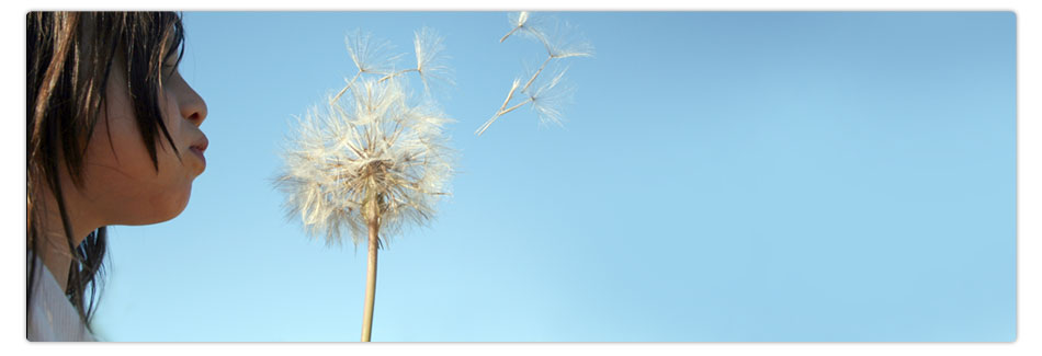 blowball